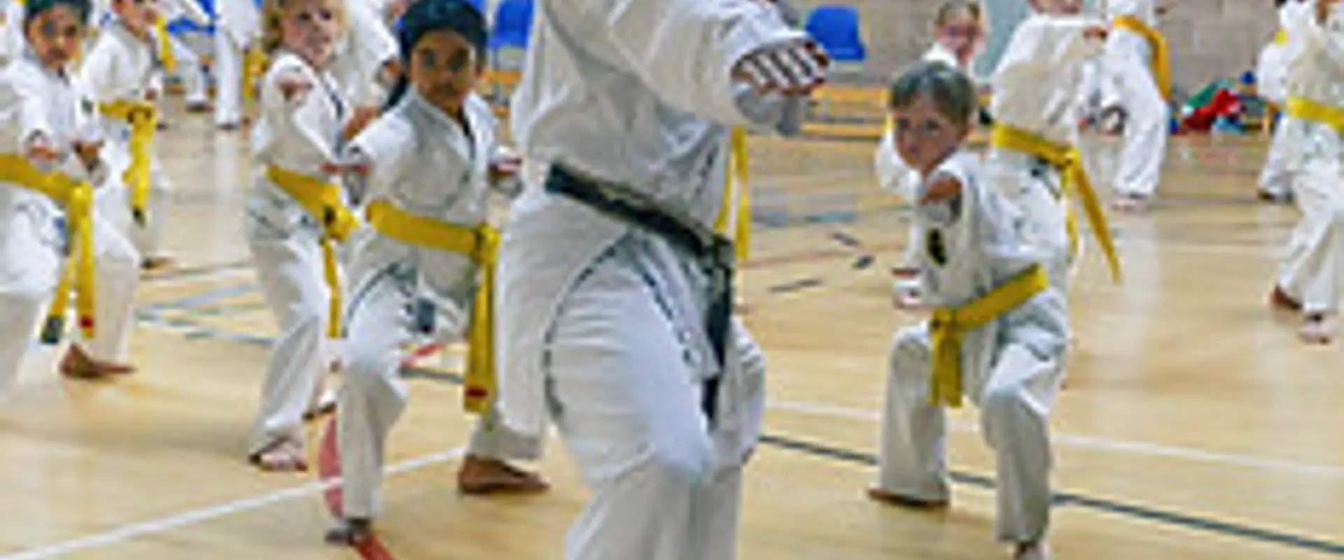 United Karate Association