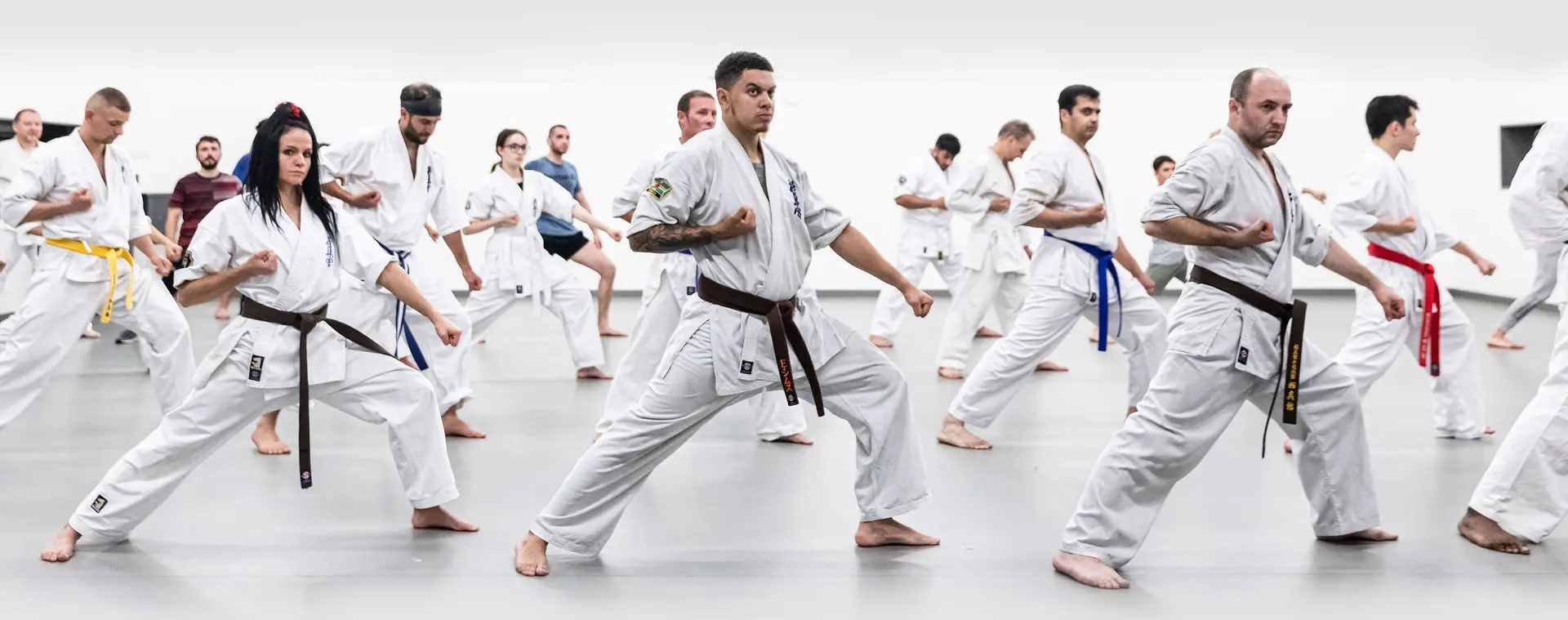 EMAR Dojo Twickenham