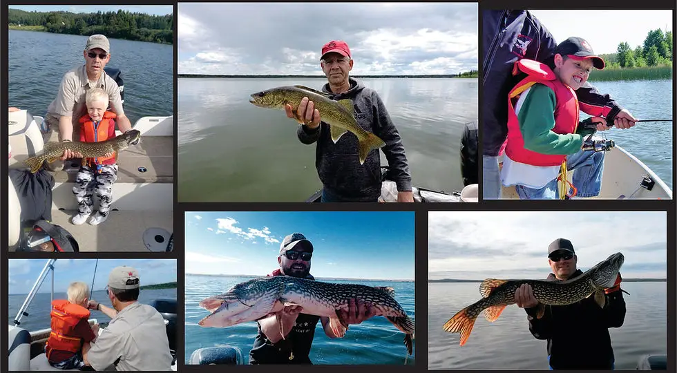 Fish Rule Custom Adventures