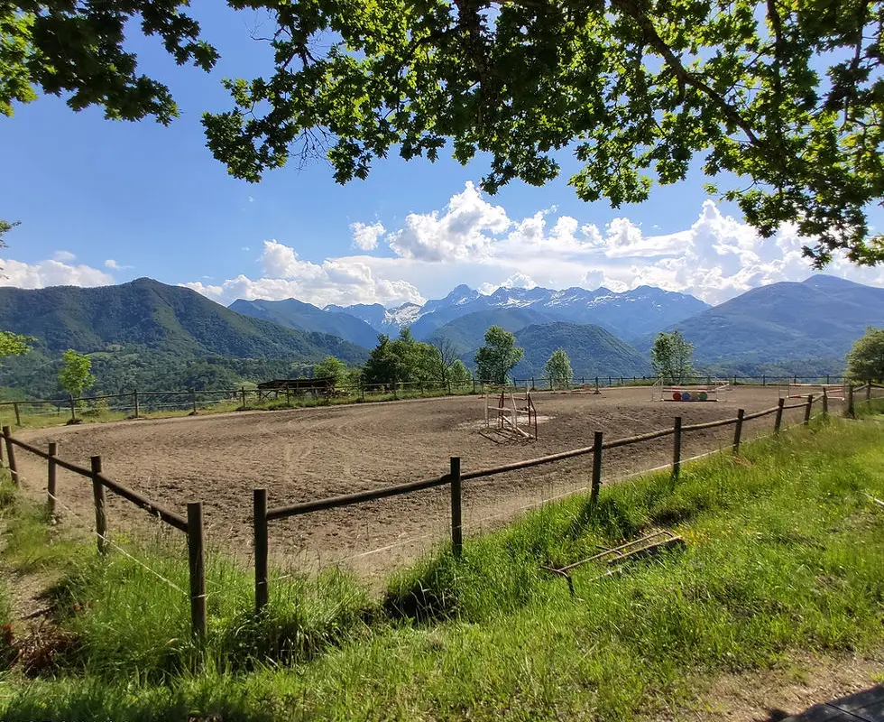 Horse Farm De Coumariau