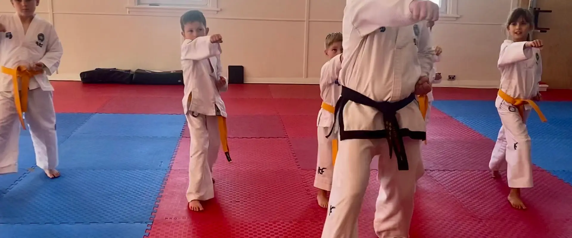 Threshold Taekwon-Do