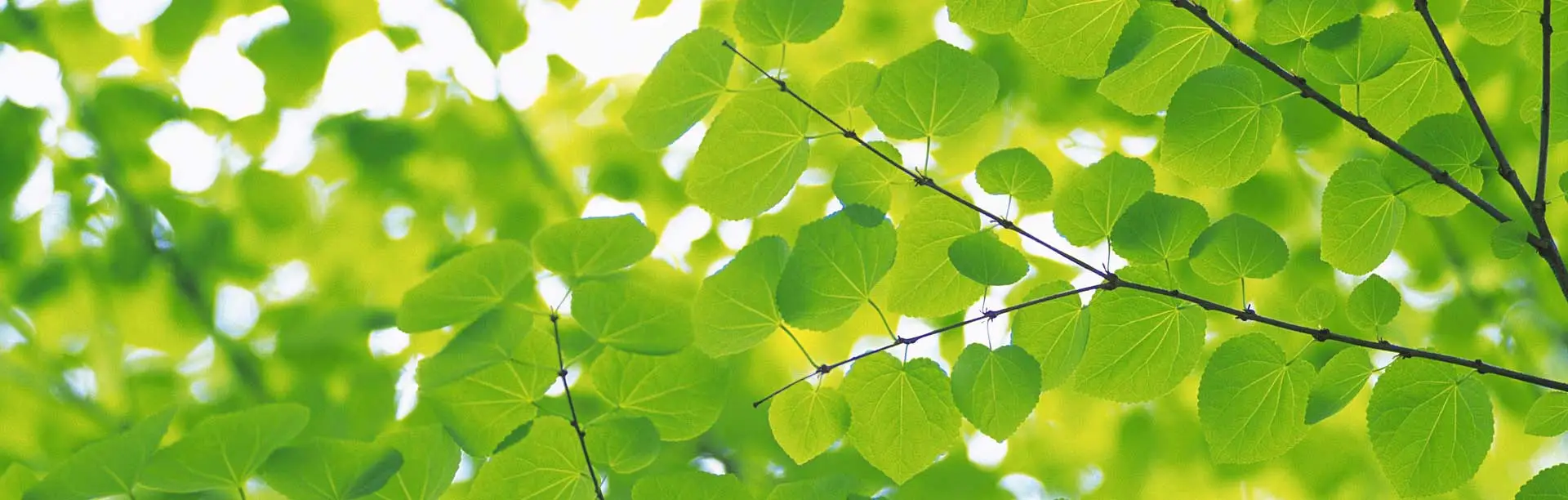 Being Well - Mindfulness Practice