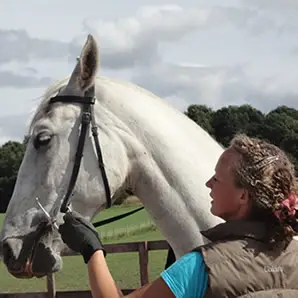 Whitesands Equestrian