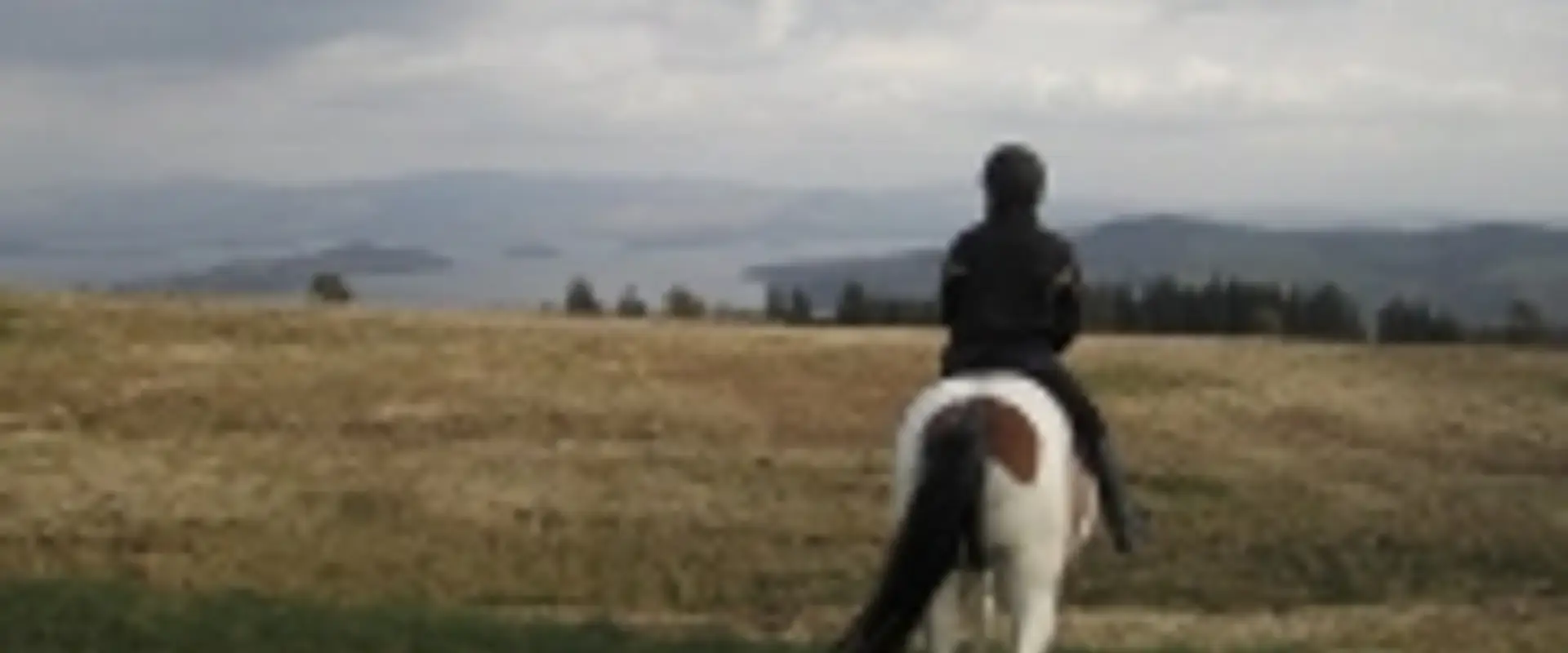Loch Lomond Pony Trekking