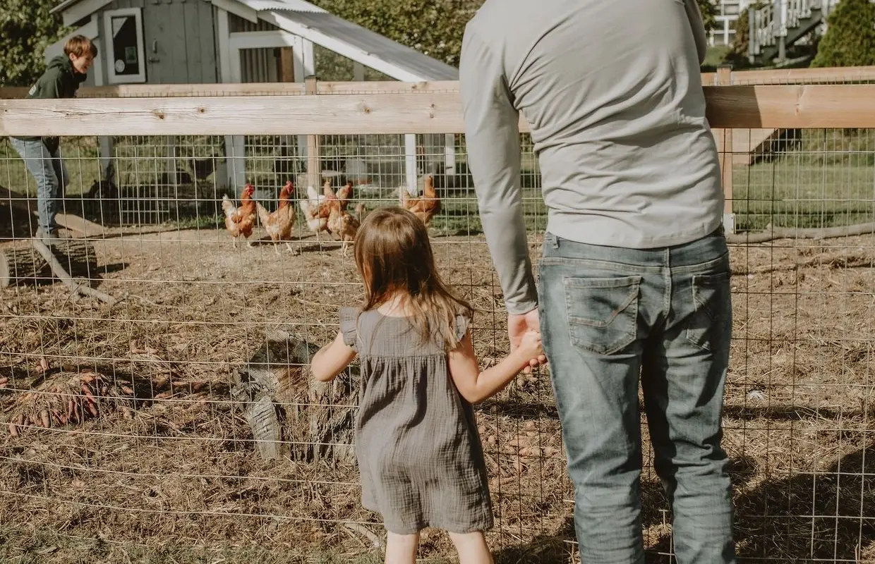 Old McDonald's Family Farm