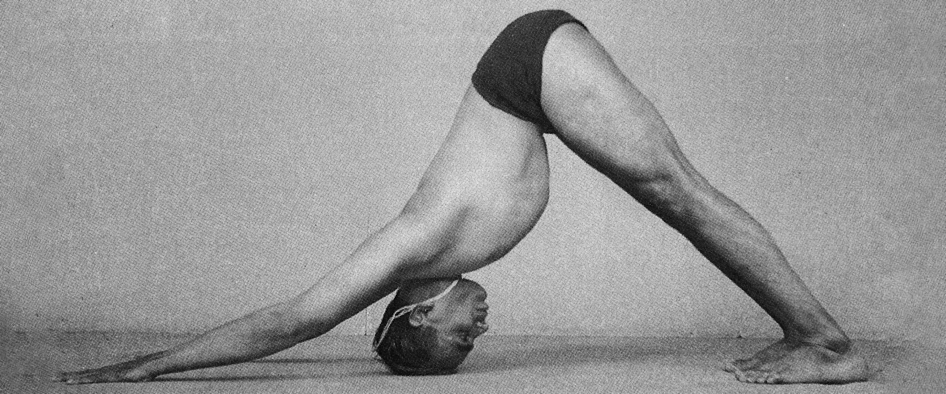 Iyengar Yoga House
