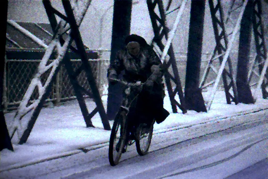 Belle à vélo électrique