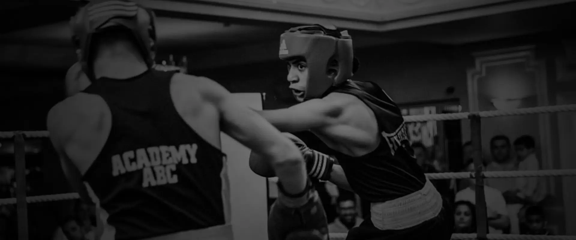 Five Star Boxing
