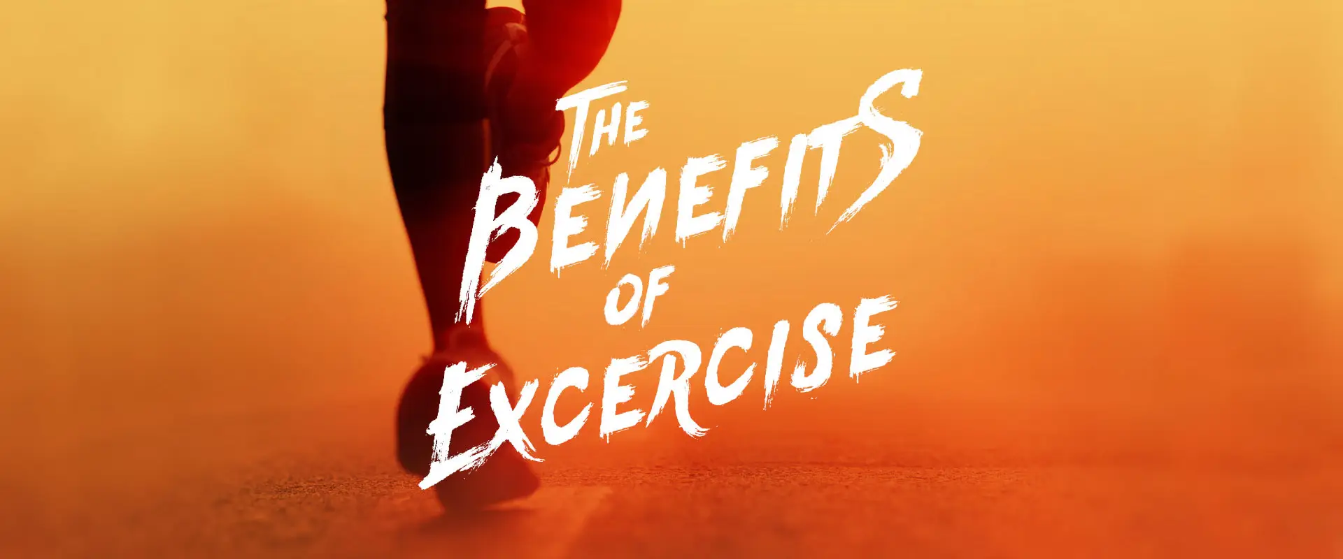 Ferrycarrig Active Club