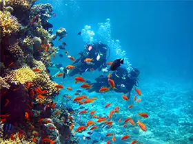 Grand Cayman Island Tours