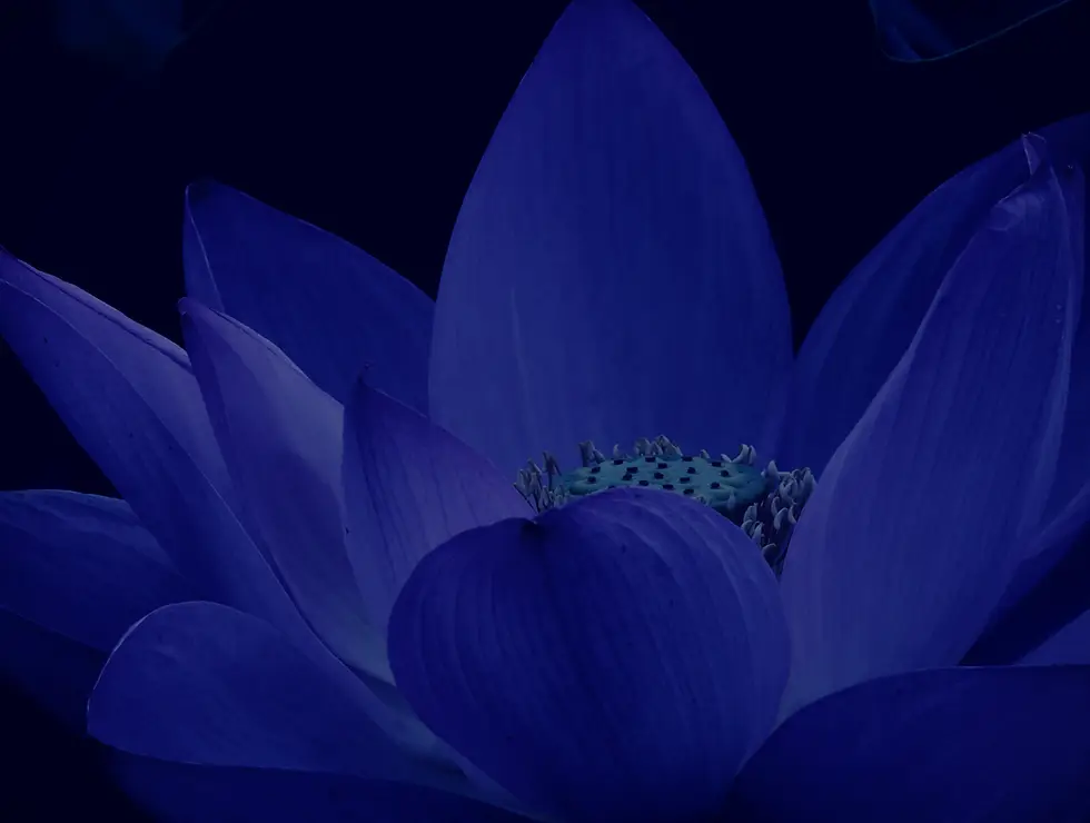 Blue Lotus Tai Chi