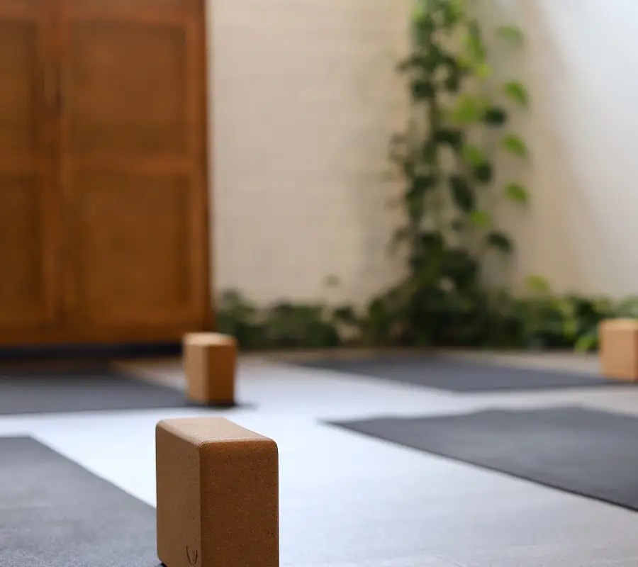 Rebalance Wellness