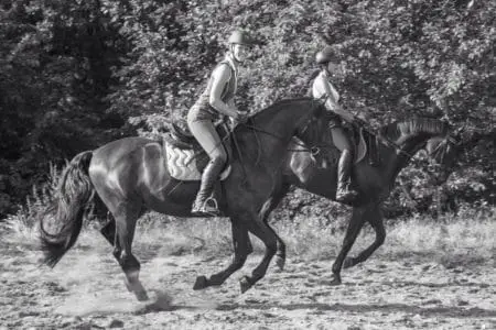 Horse Holidays France