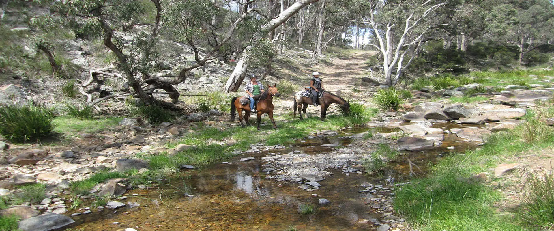 Three Waters High Country Holidays