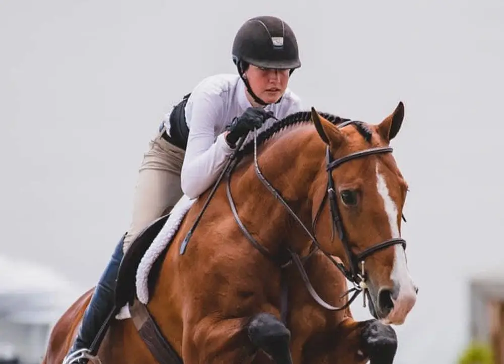 Muskoka Horse Co