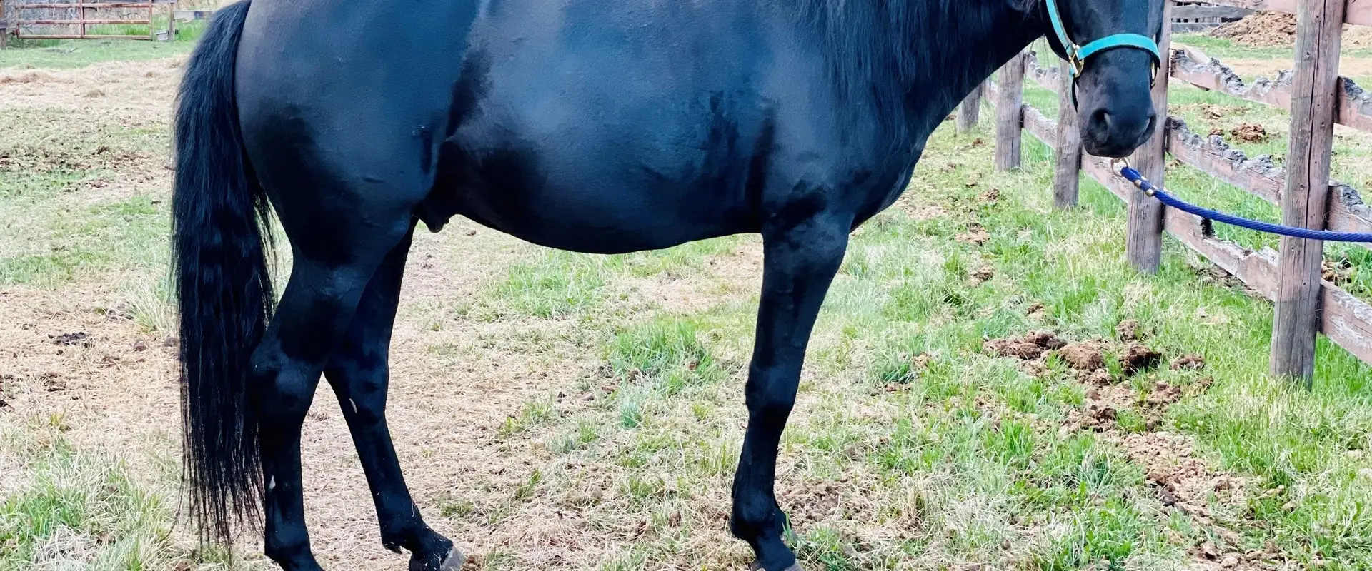 Gaitway Ranch