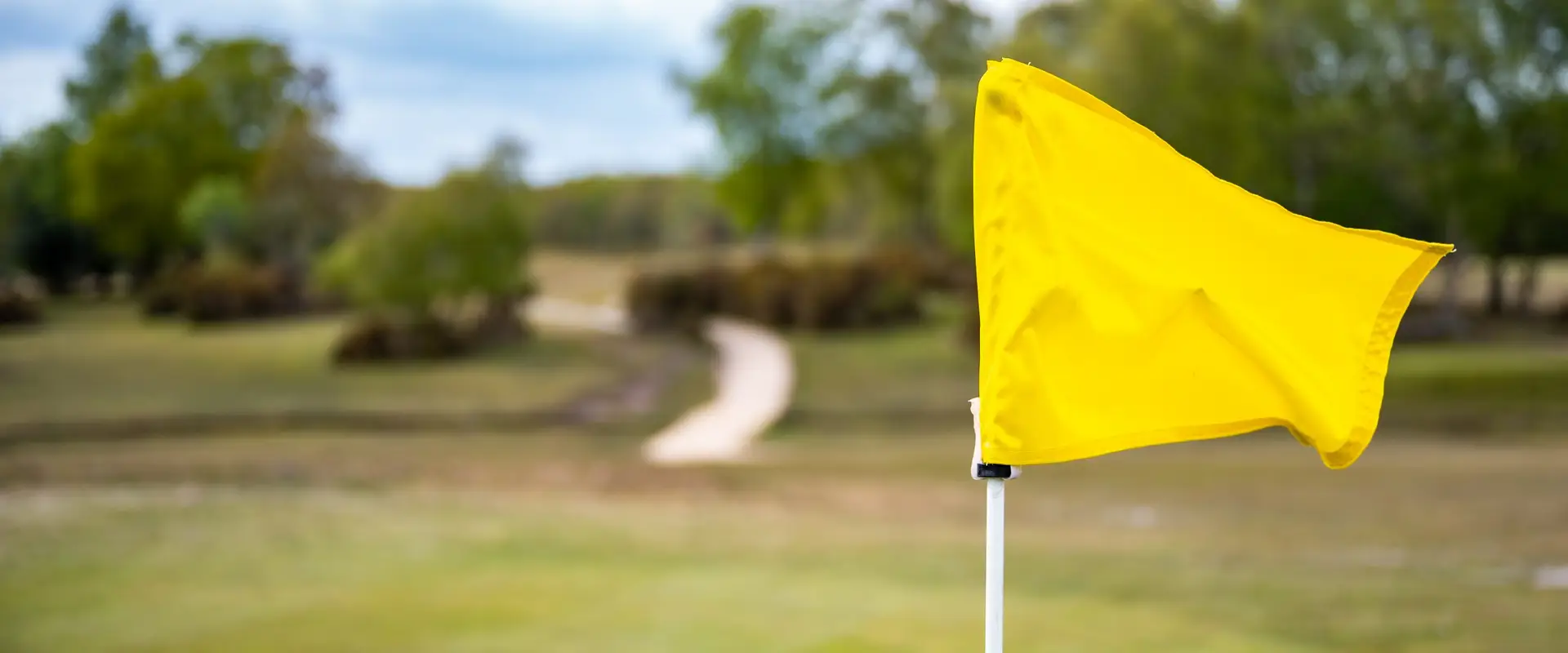 New Forest Golf Club