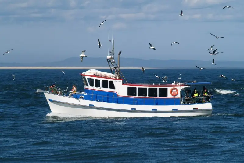 Mairirua Charters