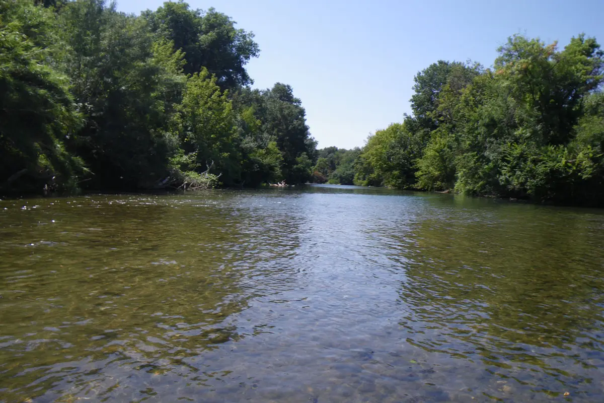 moniteur guide de pêche