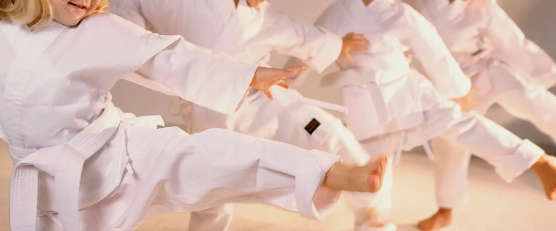 Streetsville Martial Arts Karate Inc