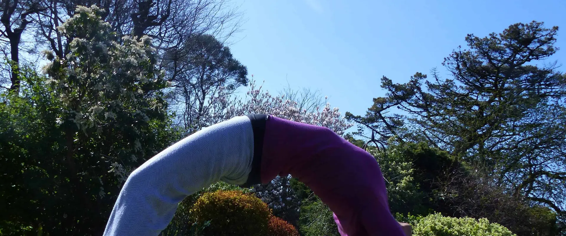 YogaDevon - mindful yoga, meditation and holistic therapies across North Devon