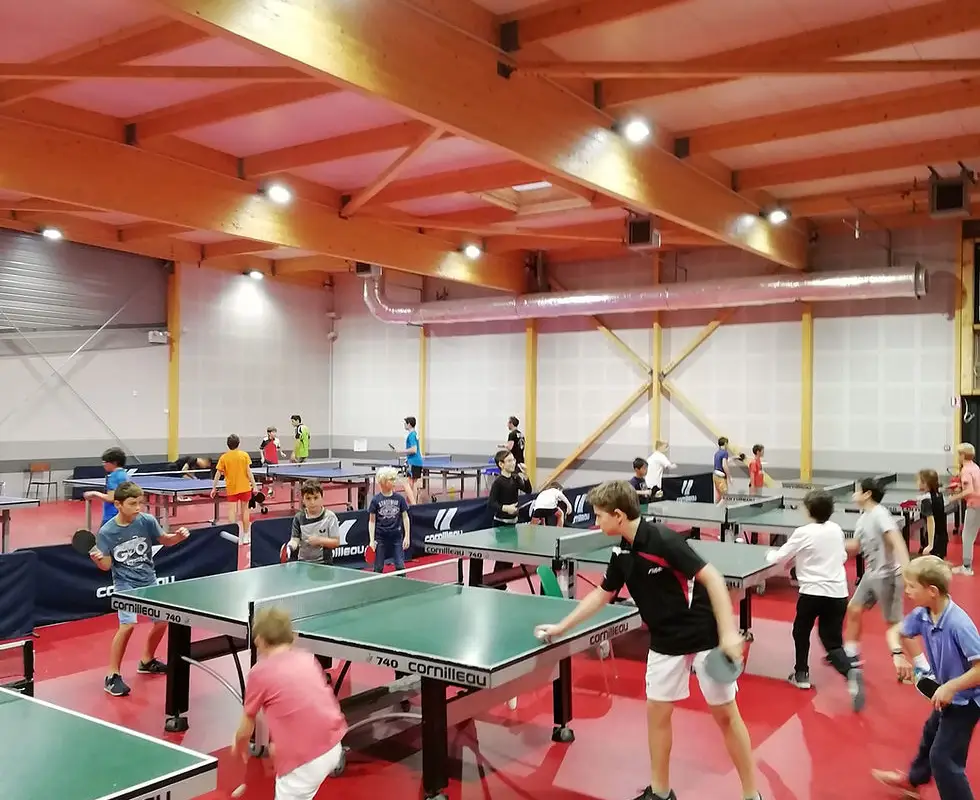 Le Chesnay Tennis de Table