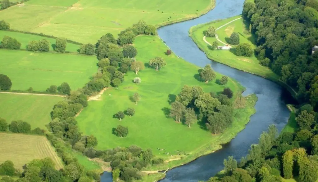 Glenda's Fishery