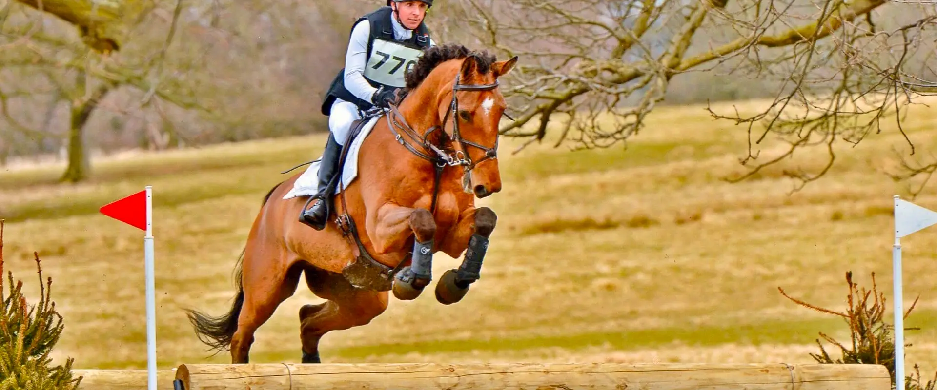 Park View Equestrian Centre