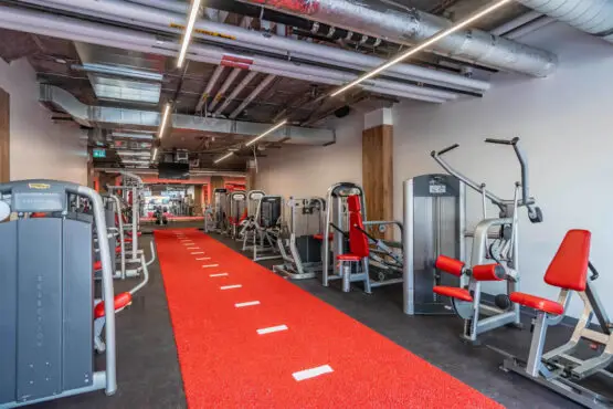 Anatomy Fitness