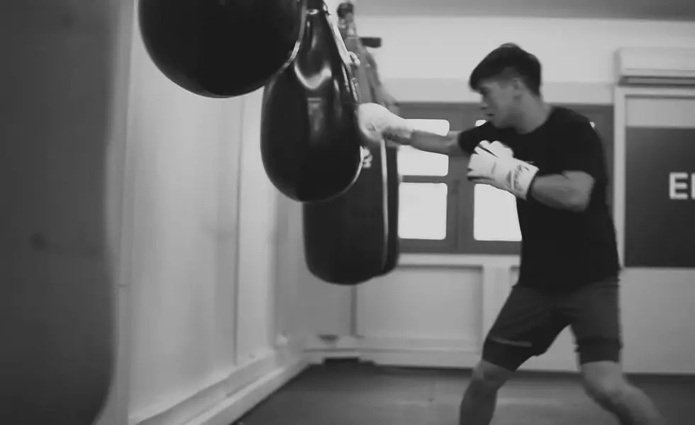 ELEVATE FIGHT LAB