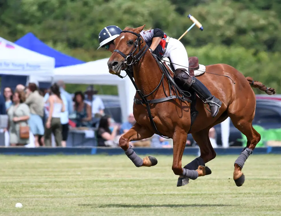 Rutland Polo Club