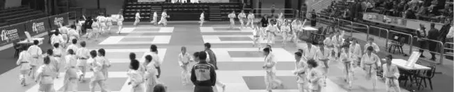 Judo Club Challandais