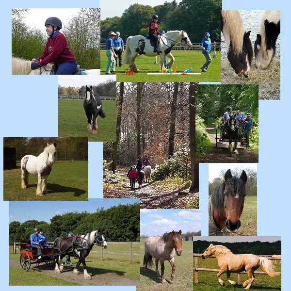 Wyfold Group Riding for the Disabled