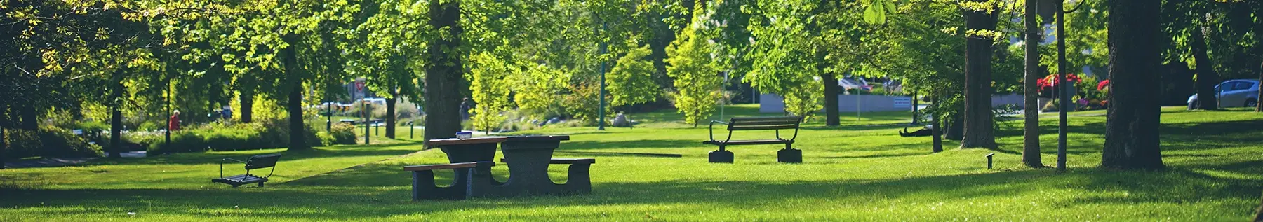 Kinsmen Field North