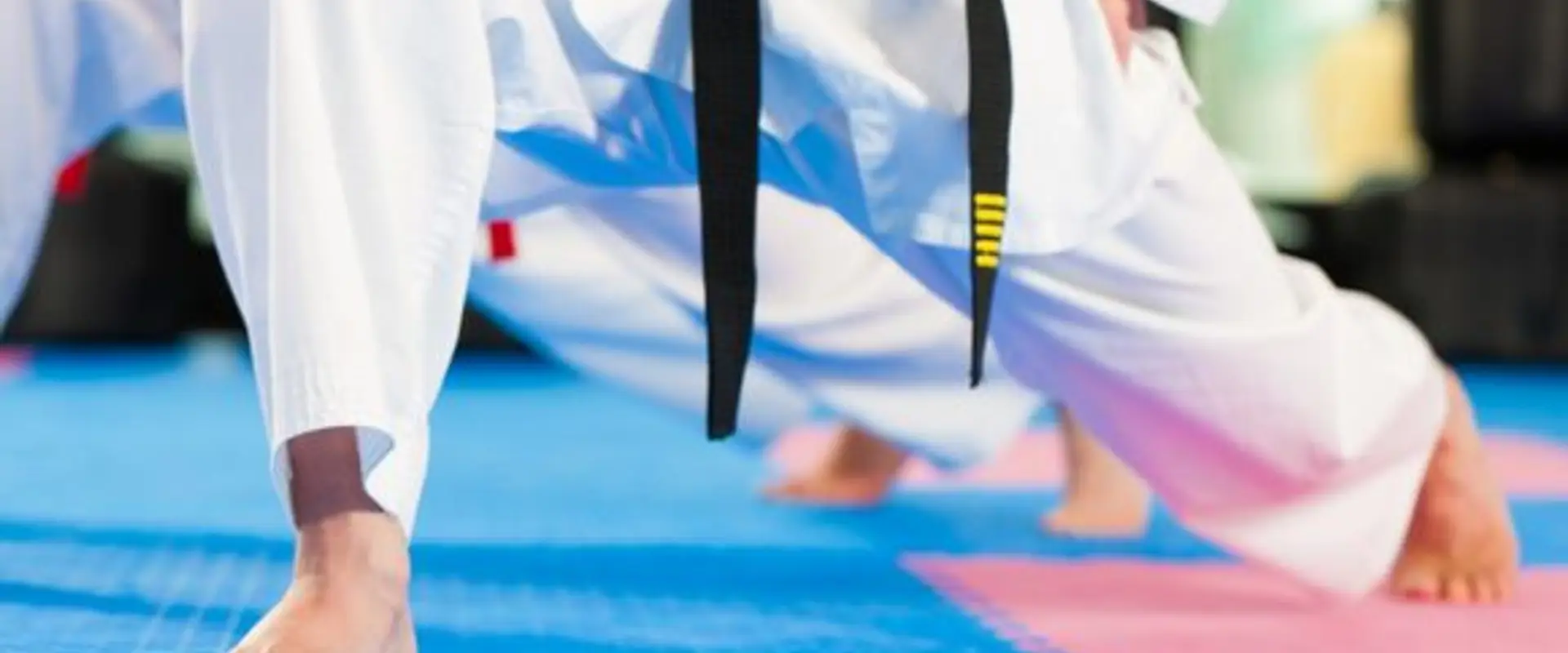 Alton Taekwon-Do