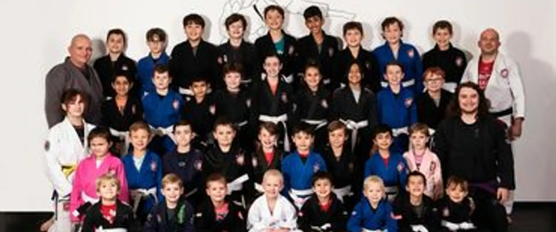 Back to the Mat BJJ