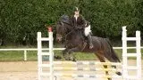 Equestrian Center De L Alliance