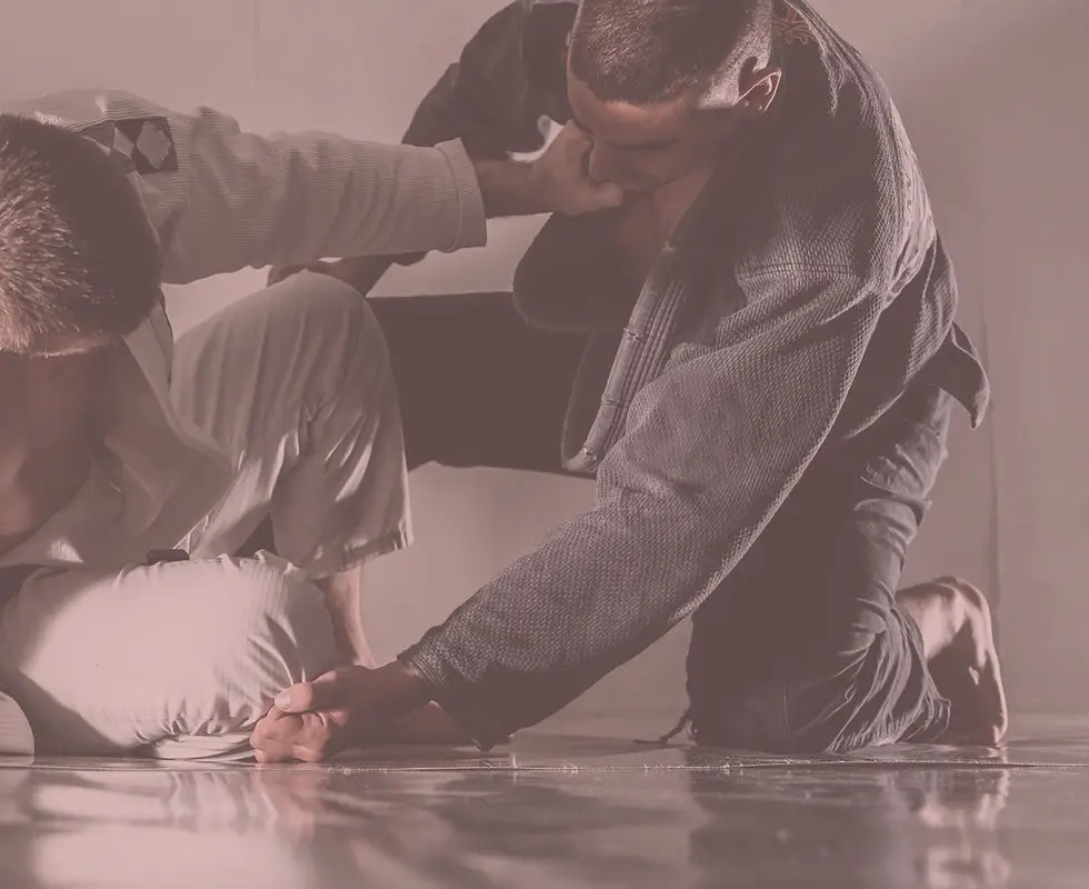 Nexus BJJ