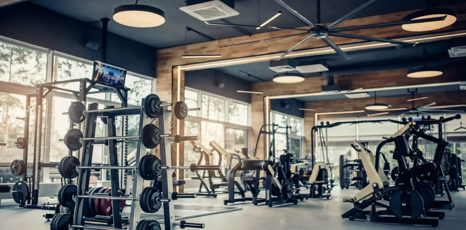 Drufitness