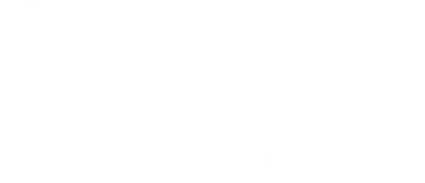 The Movement Society