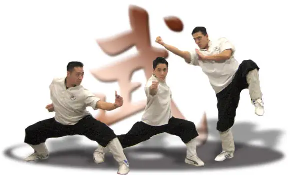 Chung Wah Kung Fu Systems