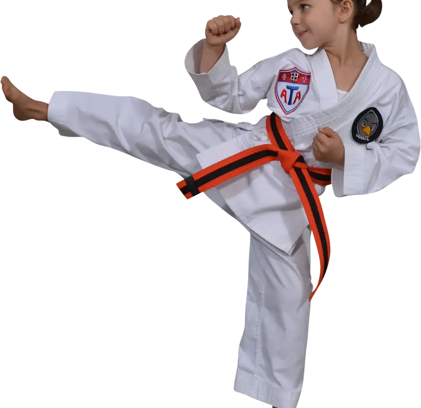 Aspire Martial Arts