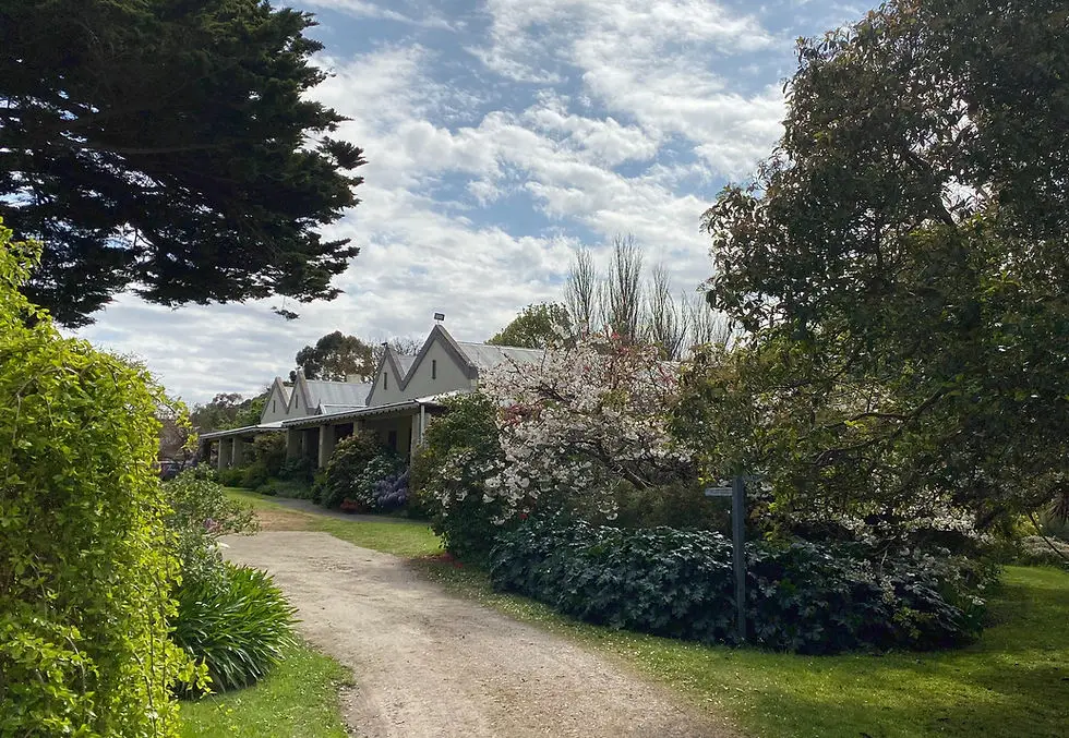 Warrawee Wholistic