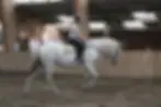 Centre equestre Equitapassion