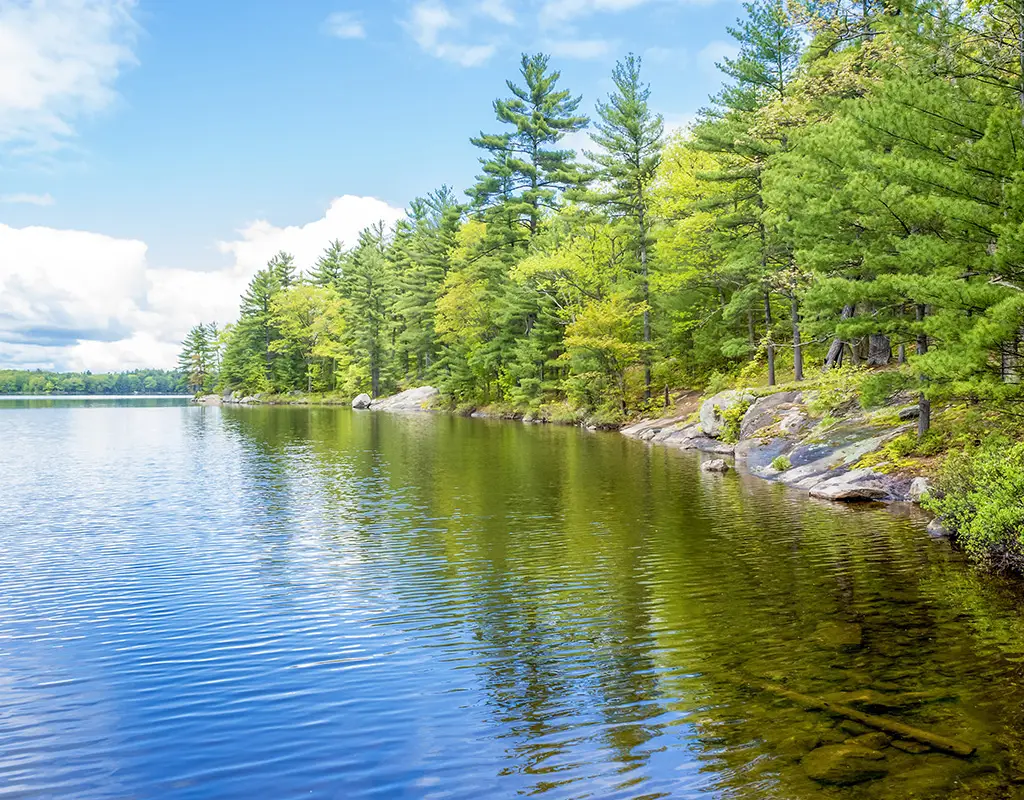 Gathering Lake Outfitters