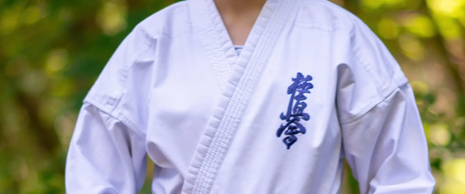 Geminos Dojo
