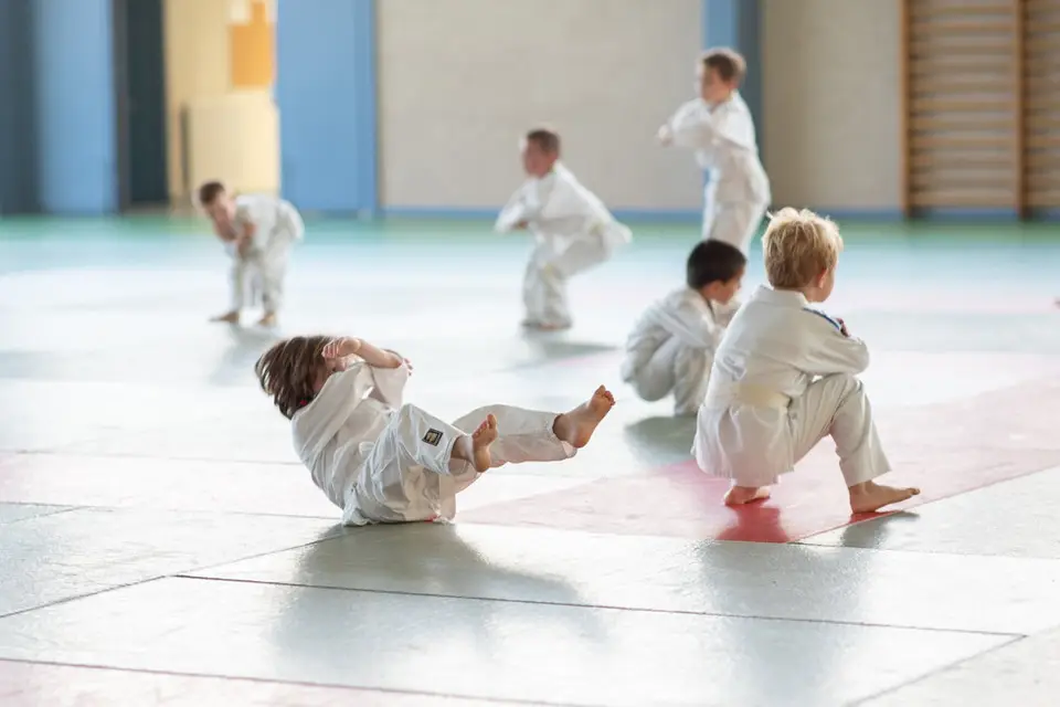 Judo Club De La Motte-Servolex