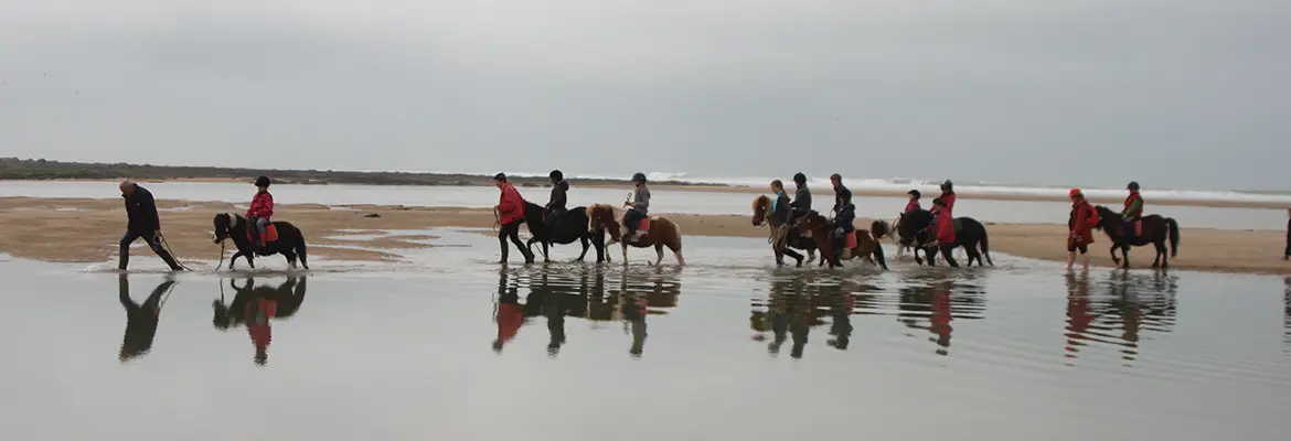 Les Ecuries de La Boissiere