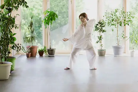 Swimming Dragon Tai Chi
