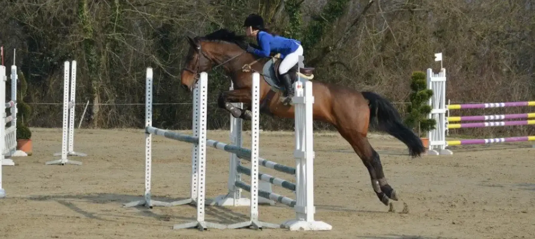 Legende Horse Sport